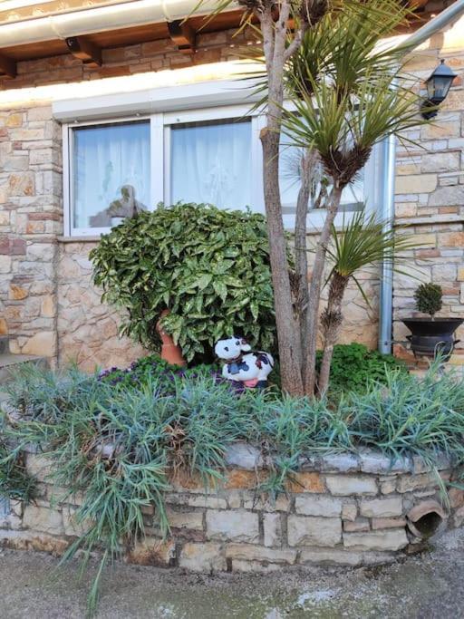 Apartment Istra Near Beach Rovinj Exterior photo